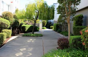 3655 colegrove Apartments